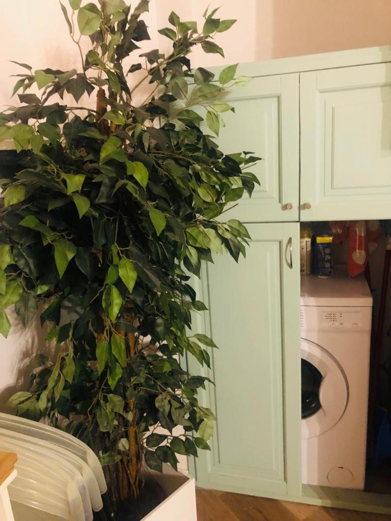 Charme Holidays Trastevere Ρώμη Εξωτερικό φωτογραφία